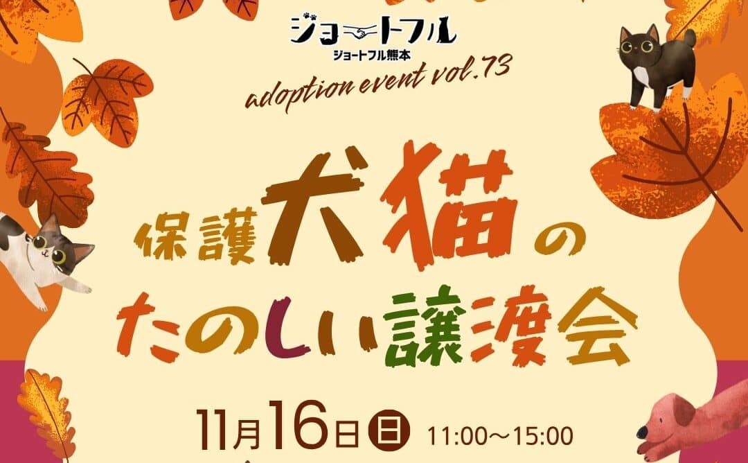 クロイシガーデンで楽しい譲渡会(１１月１６日)
