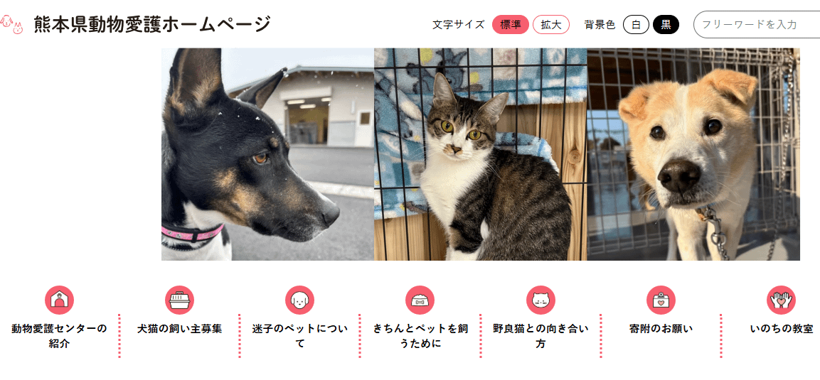熊本県動物愛護センター公式サイトへの掲載について