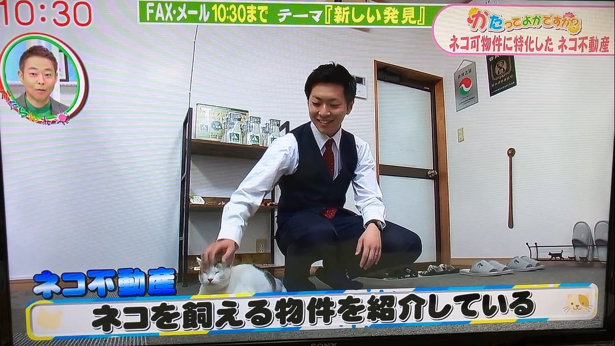 【テレビ出演】英太郎のかたらんねでネコ不動産を取り上げていただきました！