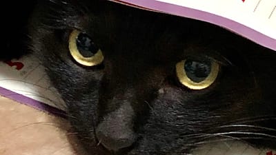 2025年GWの営業について