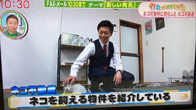 【テレビ出演】英太郎のかたらんねでネコ不動産を取り上げていただきました！