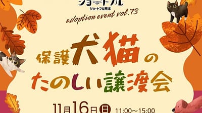 クロイシガーデンで楽しい譲渡会(１１月１６日)