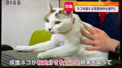 「くまもとLive touch」に出演しました！